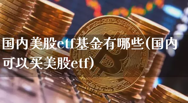 国内美股etf基金有哪些(国内可以买美股etf)_https://www.czytfl.com_期货_第1张