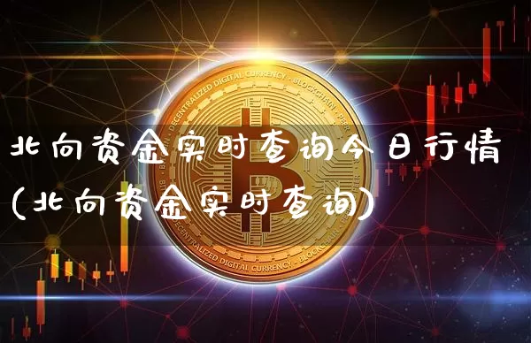 北向资金实时查询今日行情(北向资金实时查询)_https://www.czytfl.com_期货走势_第1张