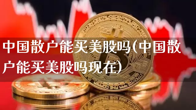 中国散户能买美股吗(中国散户能买美股吗现在)_https://www.czytfl.com_期货走势_第1张