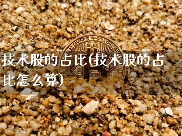 技术股的占比(技术股的占比怎么算)_https://www.czytfl.com_期货走势_第1张