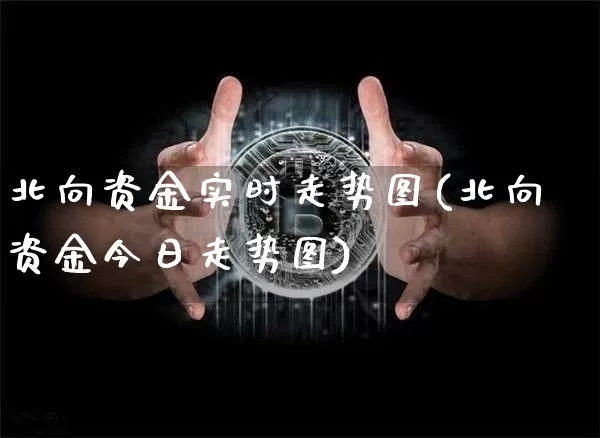 北向资金实时走势图(北向资金今日走势图)_https://www.czytfl.com_期货_第1张