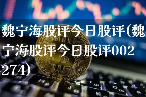 魏宁海股评今日股评(魏宁海股评今日股评002274)_https://www.czytfl.com_期货行情_第1张