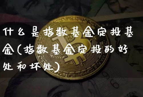 什么是指数基金定投基金(指数基金定投的好处和坏处)_https://www.czytfl.com_期货价格_第1张