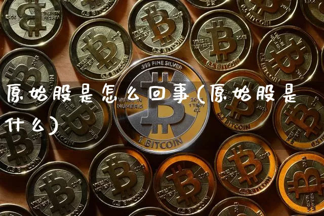 原始股是怎么回事(原始股是什么)_https://www.czytfl.com_期货走势_第1张