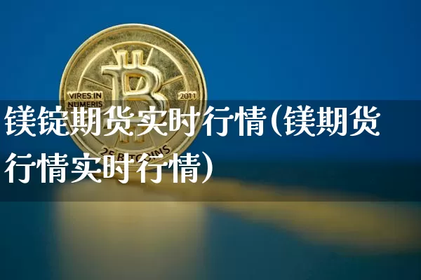 镁锭期货实时行情(镁期货行情实时行情)_https://www.czytfl.com_期货_第1张