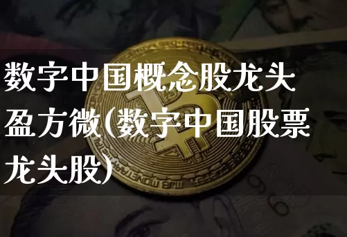 数字中国概念股龙头 盈方微(数字中国股票龙头股)_https://www.czytfl.com_期货_第1张