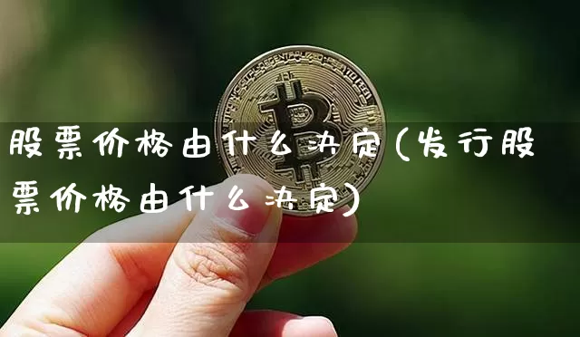 股票价格由什么决定(发行股票价格由什么决定)_https://www.czytfl.com_期货_第1张
