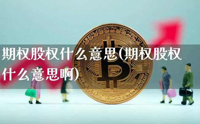 期权股权什么意思(期权股权什么意思啊)_https://www.czytfl.com_期货价格_第1张