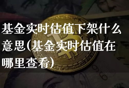 基金实时估值下架什么意思(基金实时估值在哪里查看)_https://www.czytfl.com_期货走势_第1张