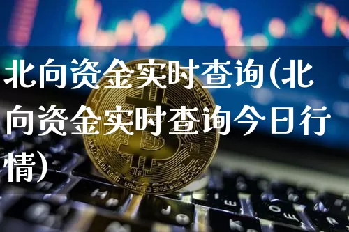 北向资金实时查询(北向资金实时查询今日行情)_https://www.czytfl.com_期货走势_第1张