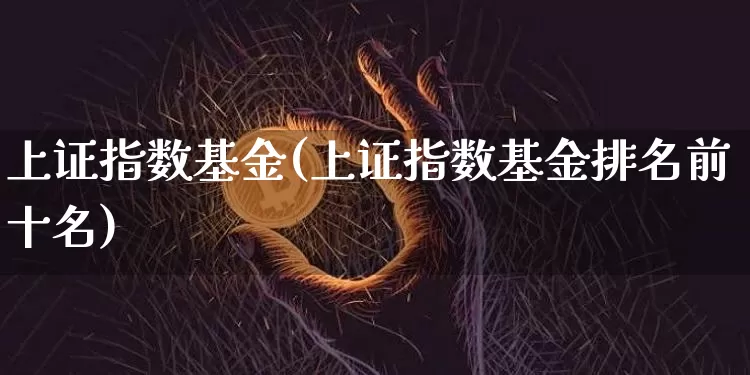 上证指数基金(上证指数基金排名前十名)_https://www.czytfl.com_期货价格_第1张