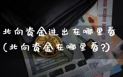 北向资金进出在哪里看(北向资金在哪里看?)_https://www.czytfl.com_期货_第1张