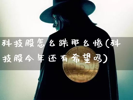科技股怎么跌那么惨(科技股今年还有希望吗)_https://www.czytfl.com_期货行情_第1张