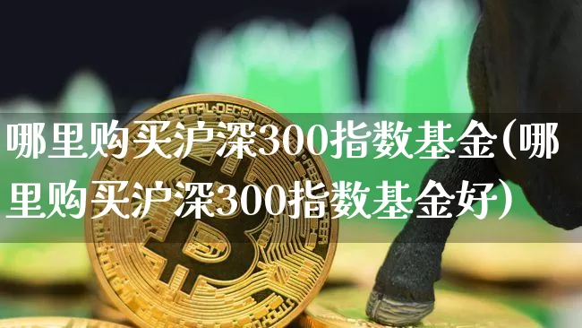 哪里购买沪深300指数基金(哪里购买沪深300指数基金好)_https://www.czytfl.com_期货行情_第1张