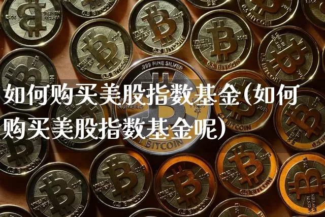 如何购买美股指数基金(如何购买美股指数基金呢)_https://www.czytfl.com_期货价格_第1张