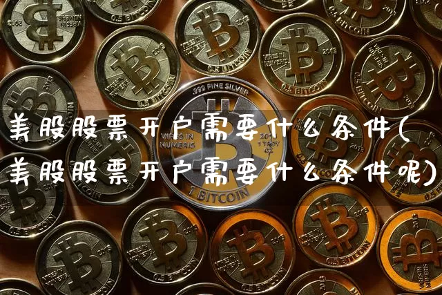 美股股票开户需要什么条件(美股股票开户需要什么条件呢)_https://www.czytfl.com_期货_第1张