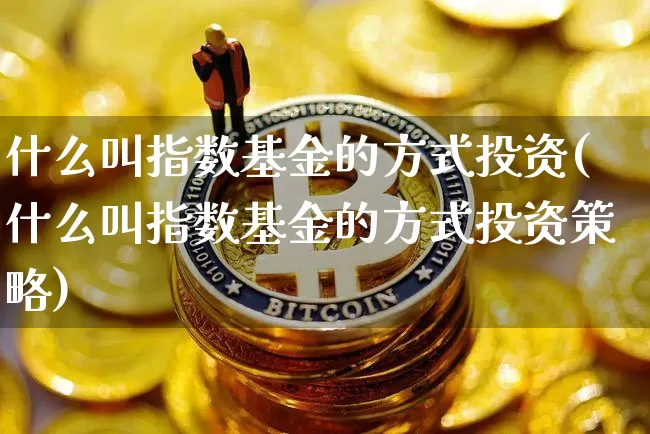 什么叫指数基金的方式投资(什么叫指数基金的方式投资策略)_https://www.czytfl.com_期货价格_第1张