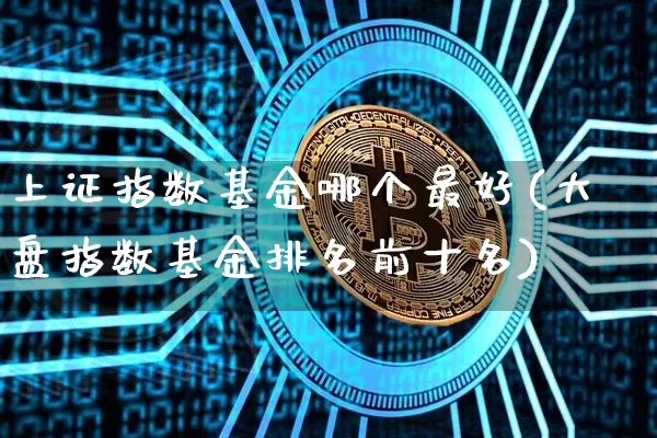 上证指数基金哪个最好(大盘指数基金排名前十名)_https://www.czytfl.com_期货走势_第1张