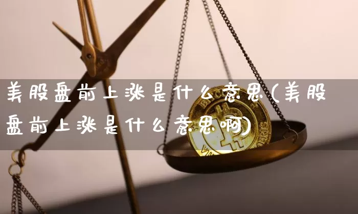 美股盘前上涨是什么意思(美股盘前上涨是什么意思啊)_https://www.czytfl.com_期货价格_第1张