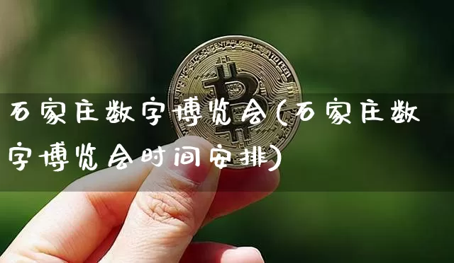 石家庄数字博览会(石家庄数字博览会时间安排)_https://www.czytfl.com_期货_第1张