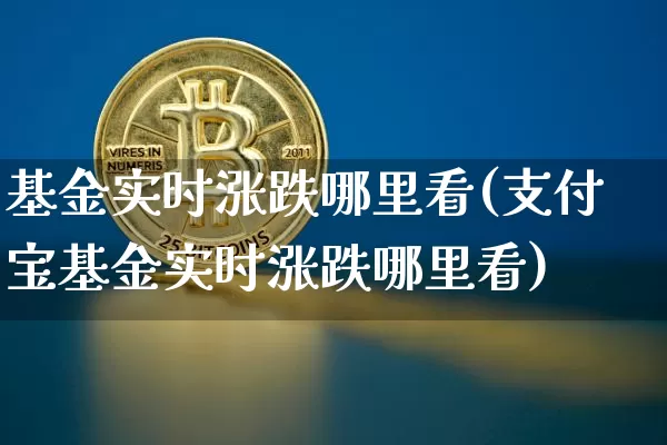 基金实时涨跌哪里看(支付宝基金实时涨跌哪里看)_https://www.czytfl.com_期货_第1张