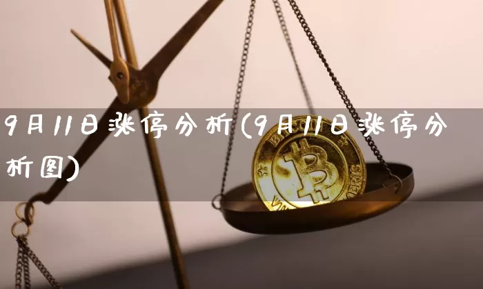 9月11日涨停分析(9月11日涨停分析图)_https://www.czytfl.com_期货行情_第1张