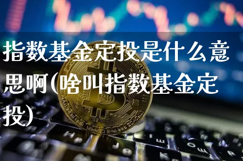 指数基金定投是什么意思啊(啥叫指数基金定投)_https://www.czytfl.com_期货走势_第1张