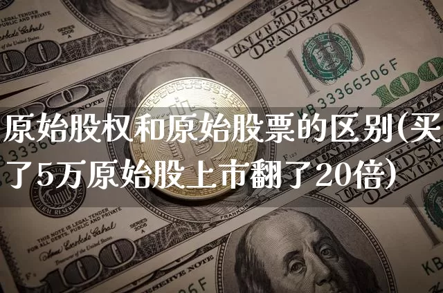 原始股权和原始股票的区别(买了5万原始股上市翻了20倍)_https://www.czytfl.com_期货行情_第1张