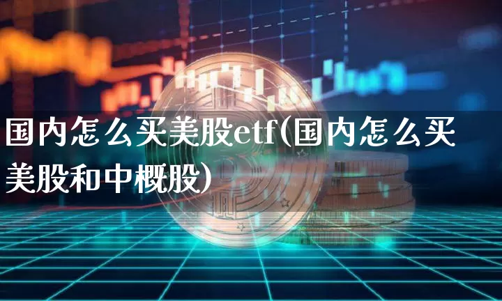 国内怎么买美股etf(国内怎么买美股和中概股)_https://www.czytfl.com_期货价格_第1张