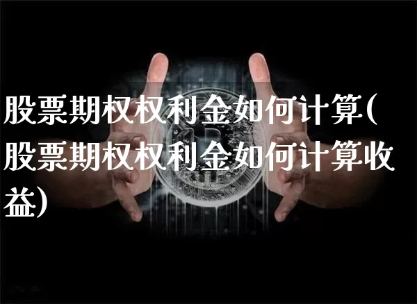 股票期权权利金如何计算(股票期权权利金如何计算收益)_https://www.czytfl.com_期货行情_第1张