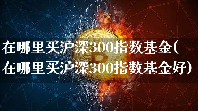 在哪里买沪深300指数基金(在哪里买沪深300指数基金好)_https://www.czytfl.com_期货行情_第1张
