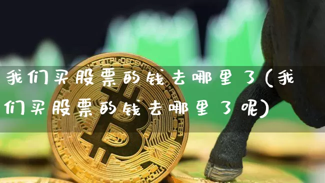 我们买股票的钱去哪里了(我们买股票的钱去哪里了呢)_https://www.czytfl.com_期货走势_第1张