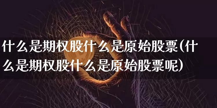 什么是期权股什么是原始股票(什么是期权股什么是原始股票呢)_https://www.czytfl.com_期货_第1张