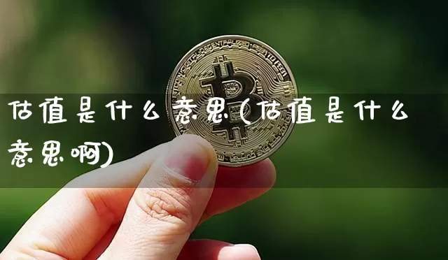 估值是什么意思(估值是什么意思啊)_https://www.czytfl.com_期货_第1张