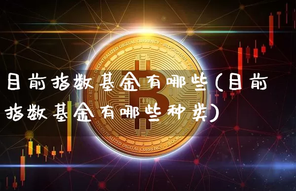 目前指数基金有哪些(目前指数基金有哪些种类)_https://www.czytfl.com_期货行情_第1张