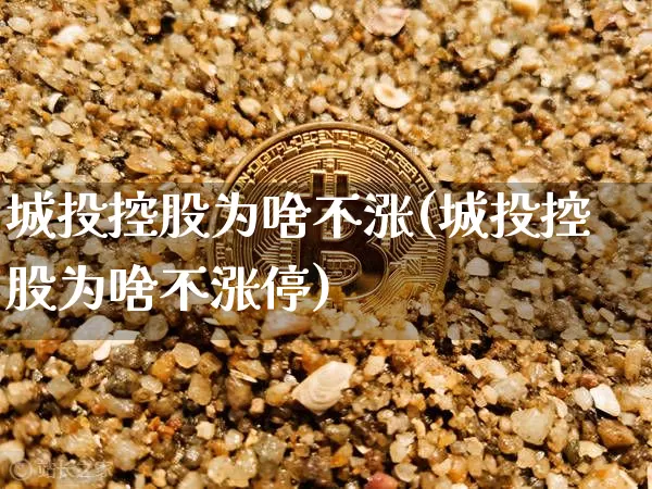 城投控股为啥不涨(城投控股为啥不涨停)_https://www.czytfl.com_期货_第1张