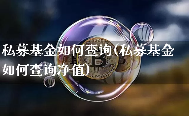 私募基金如何查询(私募基金如何查询净值)_https://www.czytfl.com_期货价格_第1张