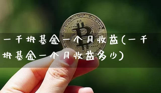 一千块基金一个月收益(一千块基金一个月收益多少)_https://www.czytfl.com_期货行情_第1张