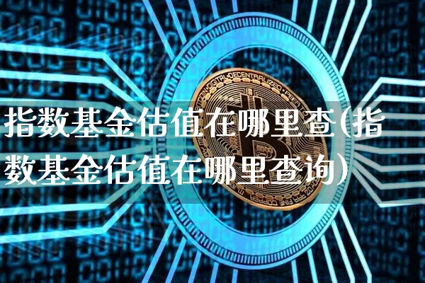 指数基金估值在哪里查(指数基金估值在哪里查询)_https://www.czytfl.com_期货价格_第1张