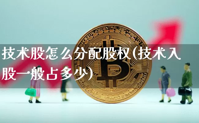 技术股怎么分配股权(技术入股一般占多少)_https://www.czytfl.com_期货_第1张