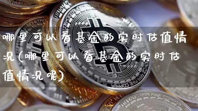 哪里可以看基金的实时估值情况(哪里可以看基金的实时估值情况呢)_https://www.czytfl.com_期货走势_第1张