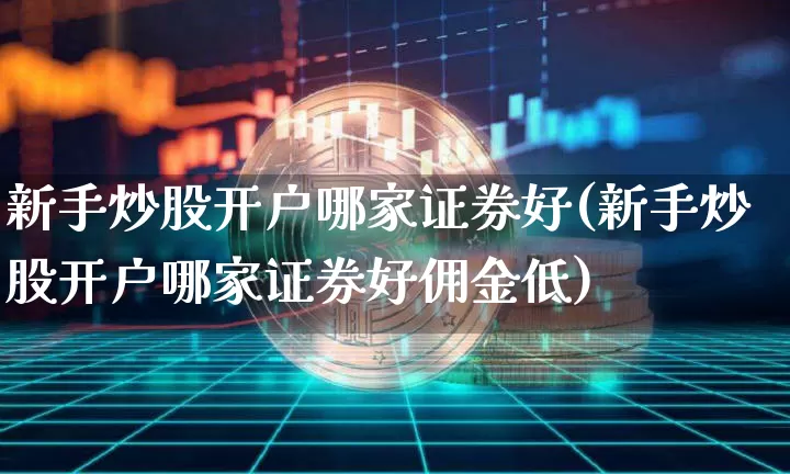 新手炒股开户哪家证券好(新手炒股开户哪家证券好佣金低)_https://www.czytfl.com_期货价格_第1张