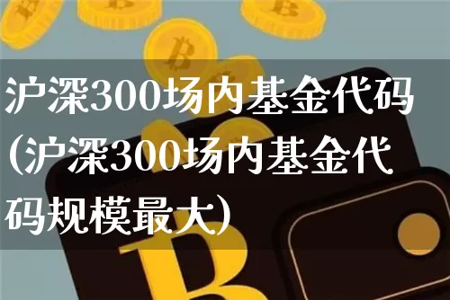 沪深300场内基金代码(沪深300场内基金代码规模最大)_https://www.czytfl.com_期货价格_第1张