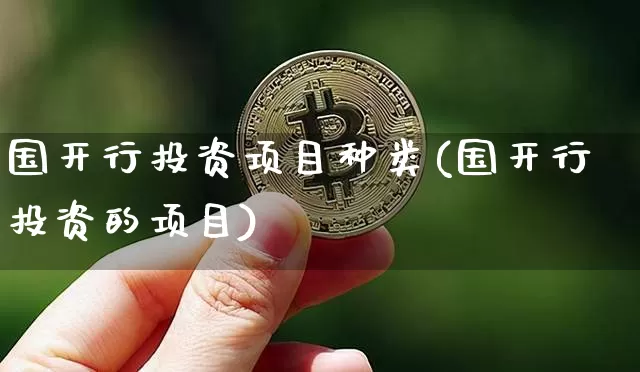 国开行投资项目种类(国开行投资的项目)_https://www.czytfl.com_期货走势_第1张