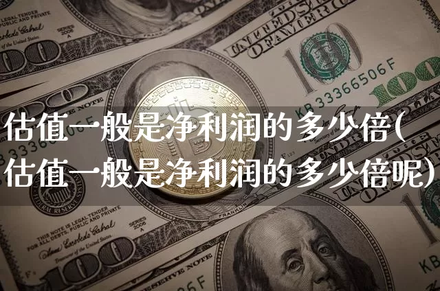 估值一般是净利润的多少倍(估值一般是净利润的多少倍呢)_https://www.czytfl.com_期货行情_第1张