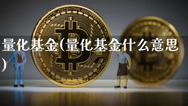 量化基金(量化基金什么意思)_https://www.czytfl.com_期货走势_第1张
