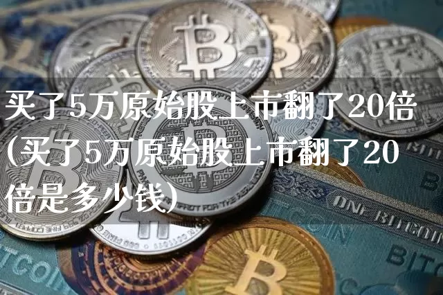 买了5万原始股上市翻了20倍(买了5万原始股上市翻了20倍是多少钱)_https://www.czytfl.com_期货价格_第1张