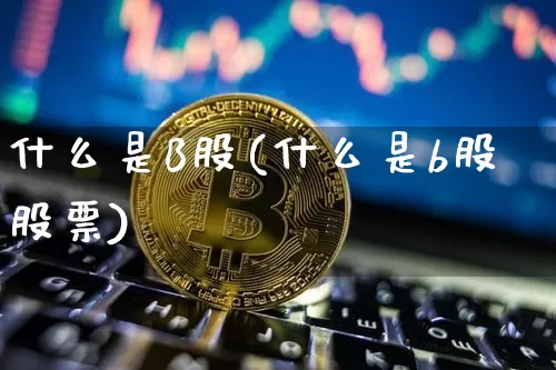 什么是B股(什么是b股股票)_https://www.czytfl.com_期货价格_第1张