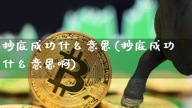 抄底成功什么意思(抄底成功什么意思啊)_https://www.czytfl.com_期货走势_第1张