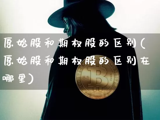 原始股和期权股的区别(原始股和期权股的区别在哪里)_https://www.czytfl.com_期货_第1张